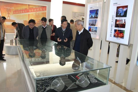 中國工程院院士王一德一行蒞臨我公司參觀指導工作
